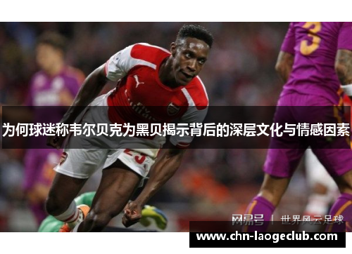 为何球迷称韦尔贝克为黑贝揭示背后的深层文化与情感因素 为何球迷称韦尔贝克为黑贝揭示背后的深层文化与情感因素