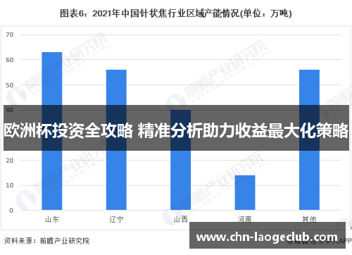 欧洲杯投资全攻略 精准分析助力收益最大化策略