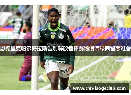 恩德里克帕尔梅拉斯告别解放者杯赛场泪洒绿茵留恋难舍 恩德里克帕尔梅拉斯告别解放者杯赛场泪洒绿茵留恋难舍