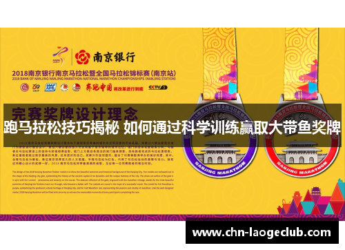 跑马拉松技巧揭秘 如何通过科学训练赢取大带鱼奖牌