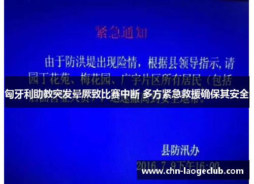 匈牙利助教突发晕厥致比赛中断 多方紧急救援确保其安全