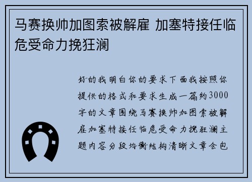马赛换帅加图索被解雇 加塞特接任临危受命力挽狂澜