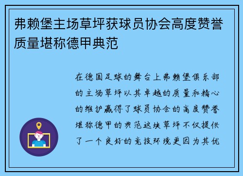 弗赖堡主场草坪获球员协会高度赞誉质量堪称德甲典范