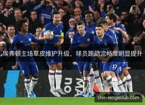埃弗顿主场草皮维护升级，球员跑动流畅度明显提升